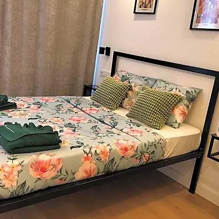 Figueira House In Beira Minho 3* Lisbon